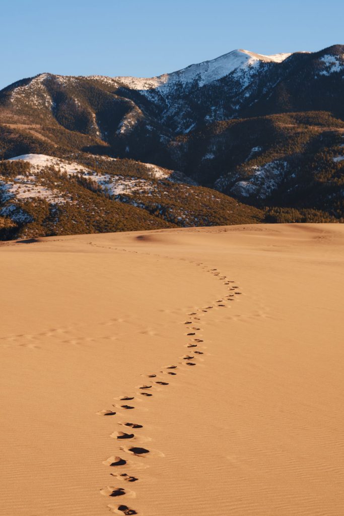 Footsteps in the sand at Great Sand Dunes National Park.